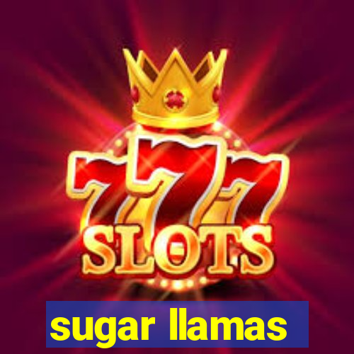 sugar llamas