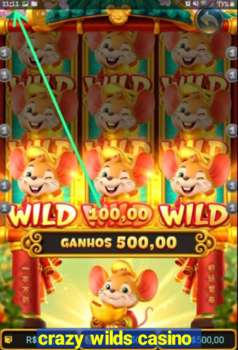 crazy wilds casino