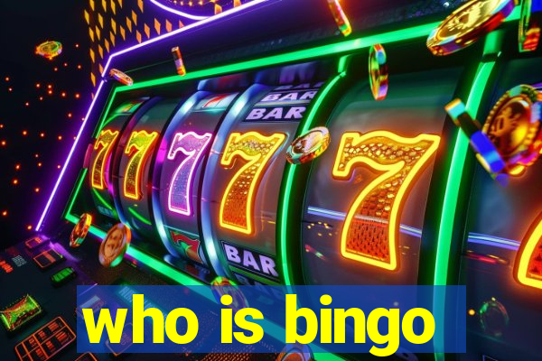 who is bingo