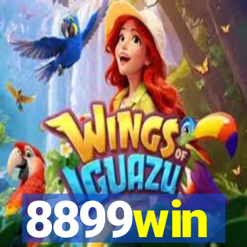 8899win