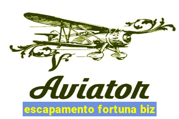 escapamento fortuna biz