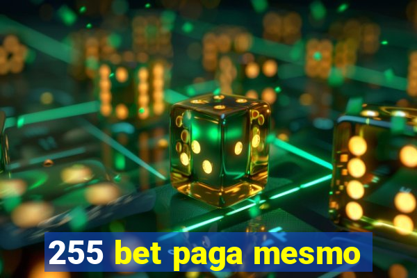 255 bet paga mesmo