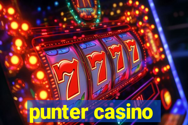 punter casino