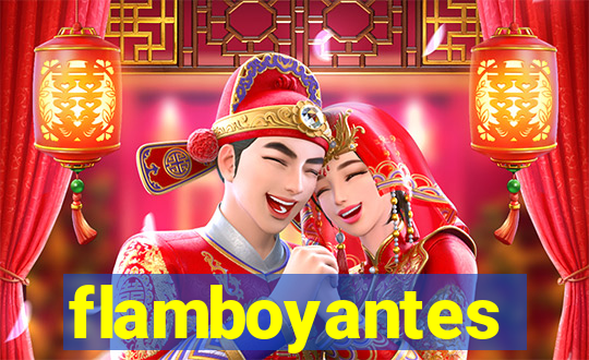 flamboyantes