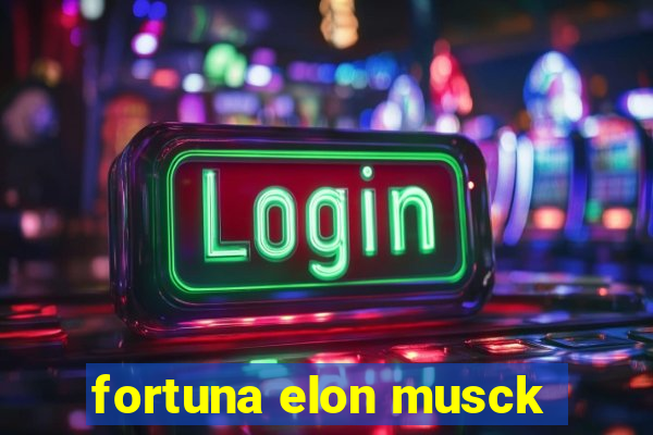 fortuna elon musck