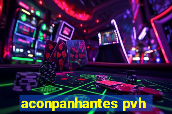 aconpanhantes pvh