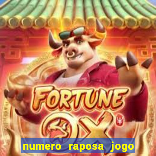 numero raposa jogo do bicho