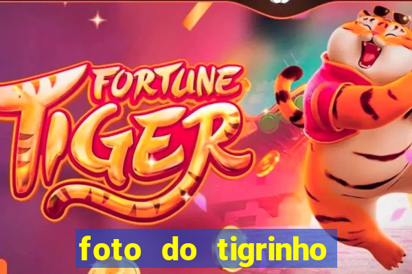 foto do tigrinho do jogo