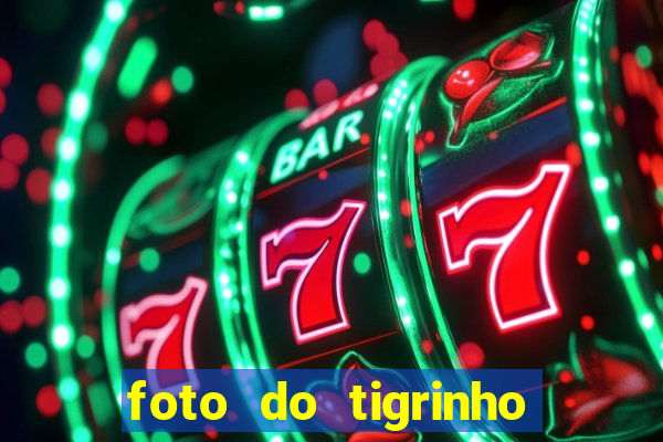 foto do tigrinho do jogo